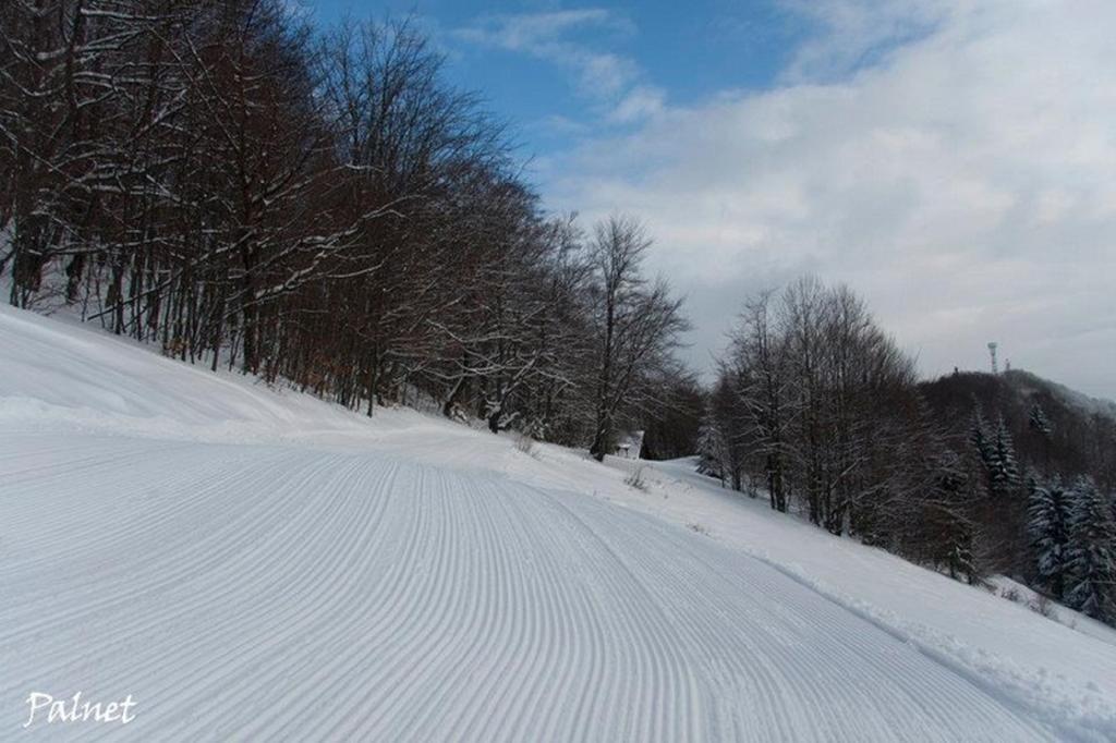 Hotel Smrecina Low Tatras エクステリア 写真